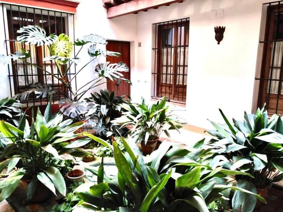 Loft & Private Rooftop With Bbq Seville Exterior photo