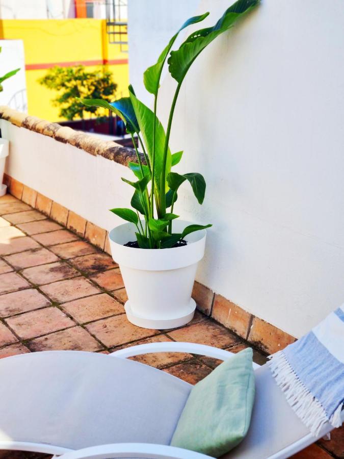 Loft & Private Rooftop With Bbq Seville Exterior photo